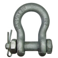 Alloy Steel Bow Shackle with Screw Pin